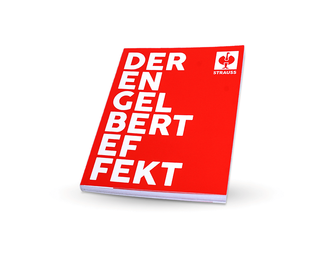 Taschenbuch - Der Engelbert Effekt