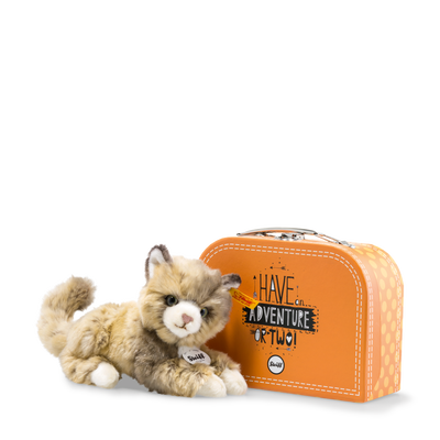 Lucy Katze im Koffer
