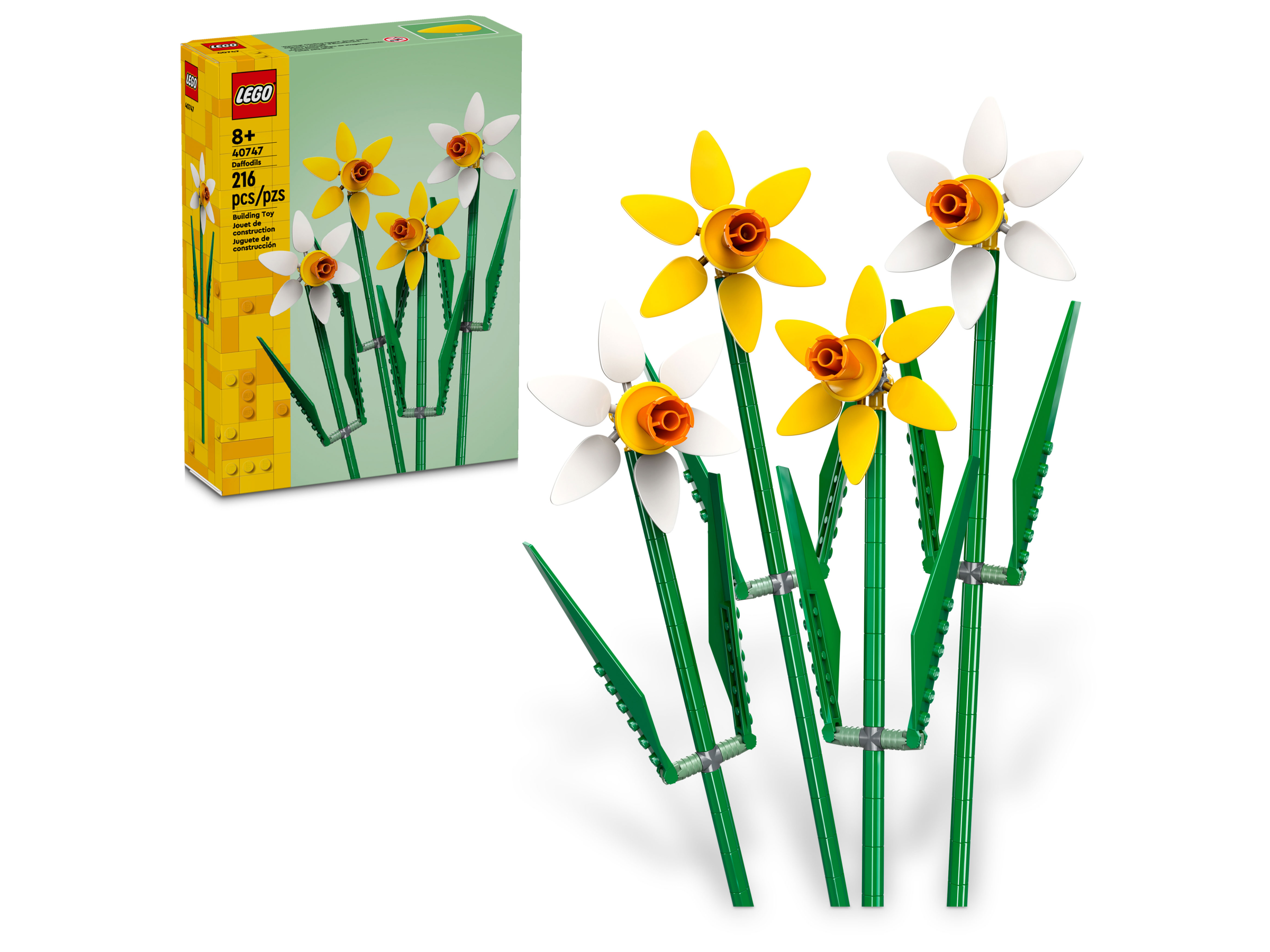 Les jonquilles 40747