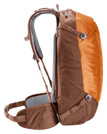 AViANT Access 38