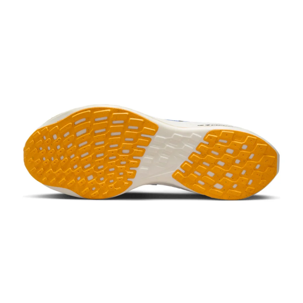 Nike Pegasus Turbo Next Nature DM3413-401 / blau