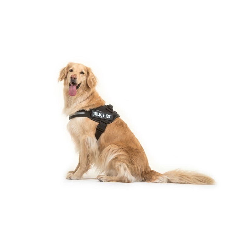 JULIUS-K9 Hundegeschirre JULIUS-K9 IDC Powergeschirr L