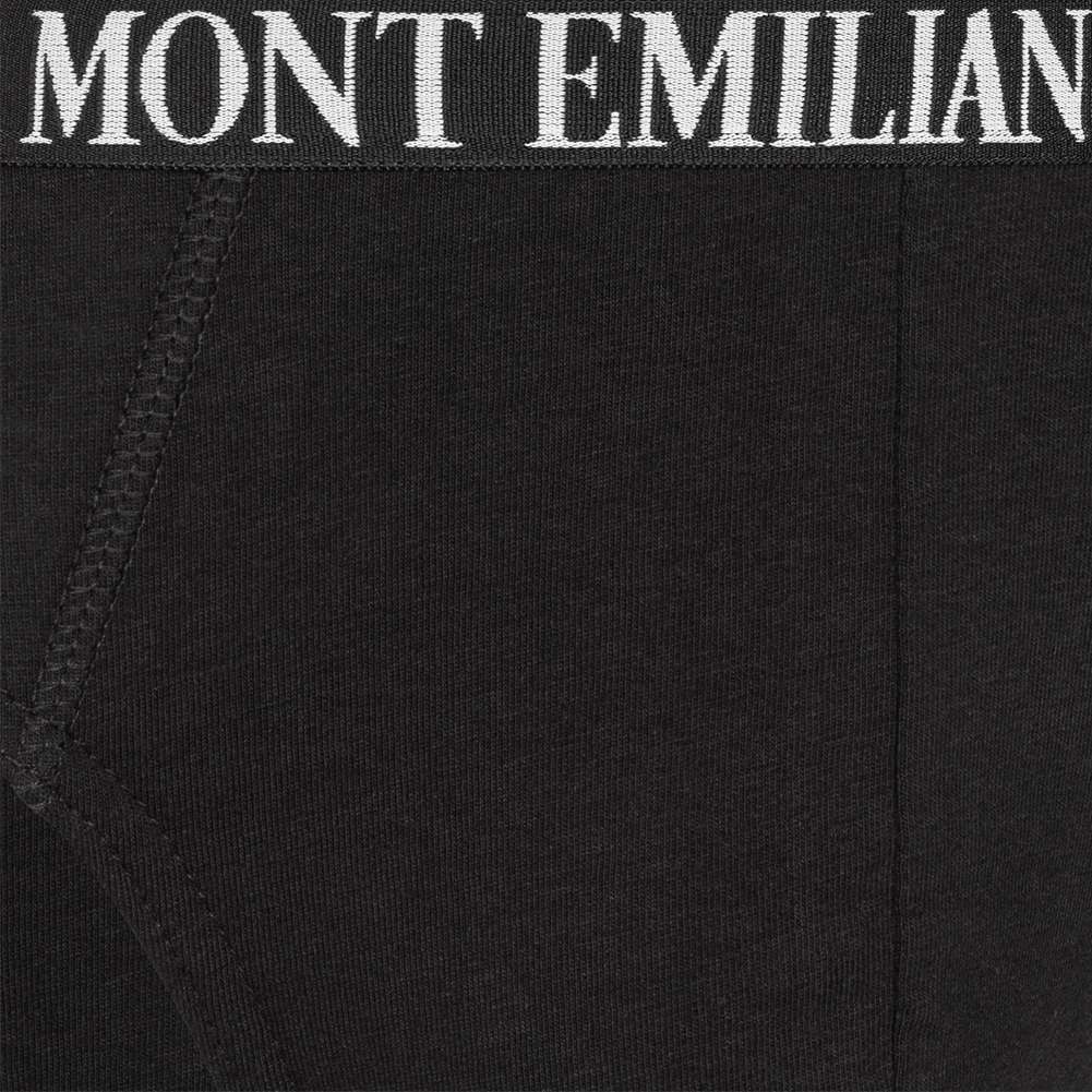 MONT EMILIAN 