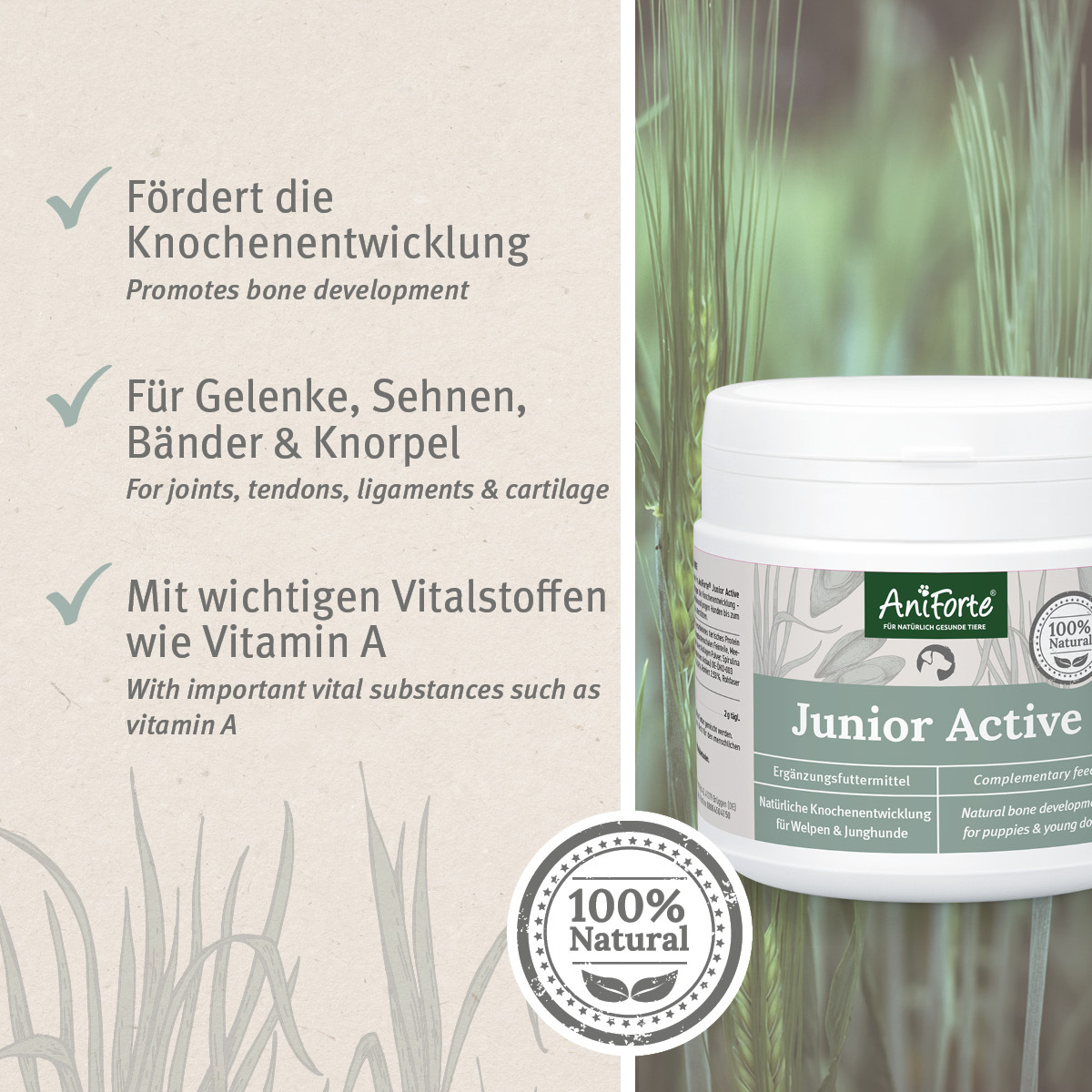 Aniforte Ergänzungsfutter & Aufzucht Aniforte Junior Active 250 g