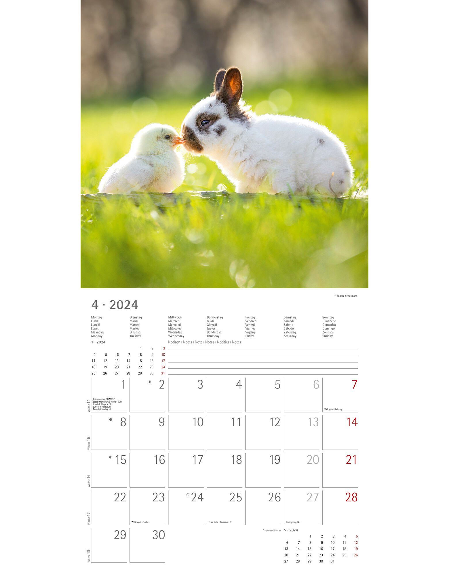 Calendrier 2024 amis animaux