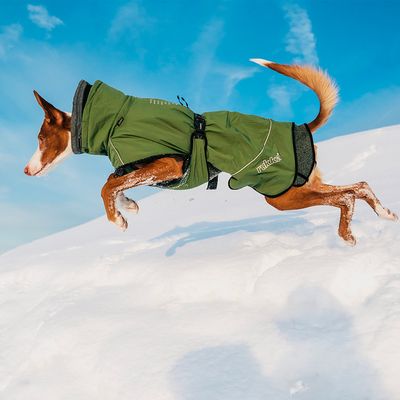 Rukka® Warmup Hundemantel, oliv