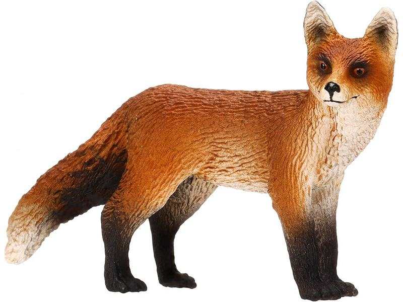 Renard