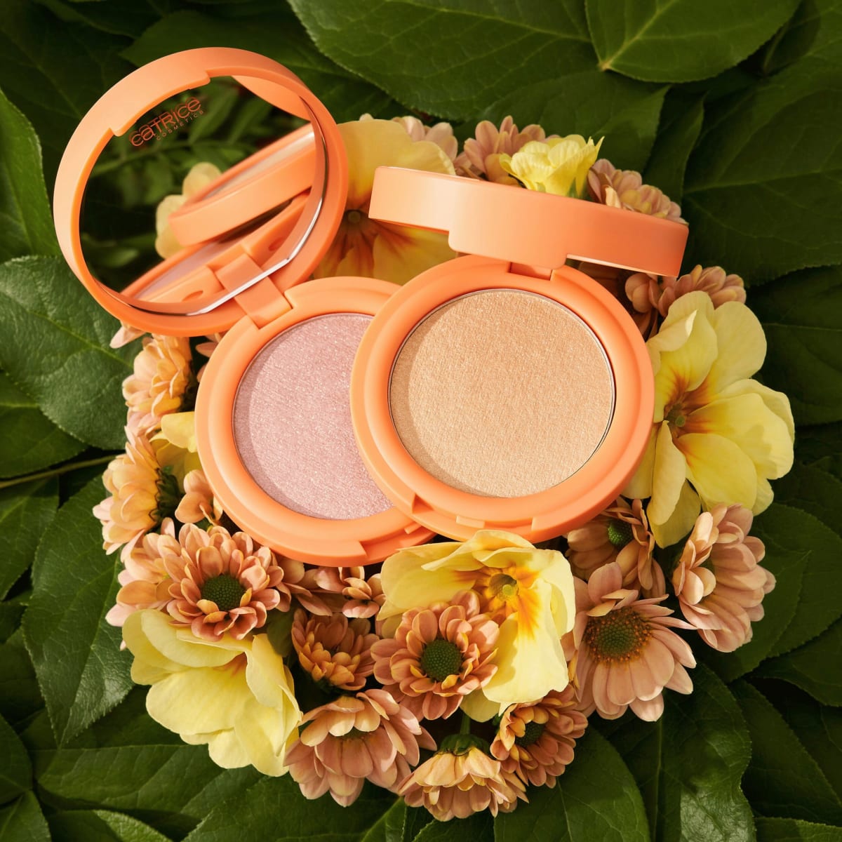 Highlighter Cream-To-Powder Seeking Flowers C02 Apriglow, 5,5 g