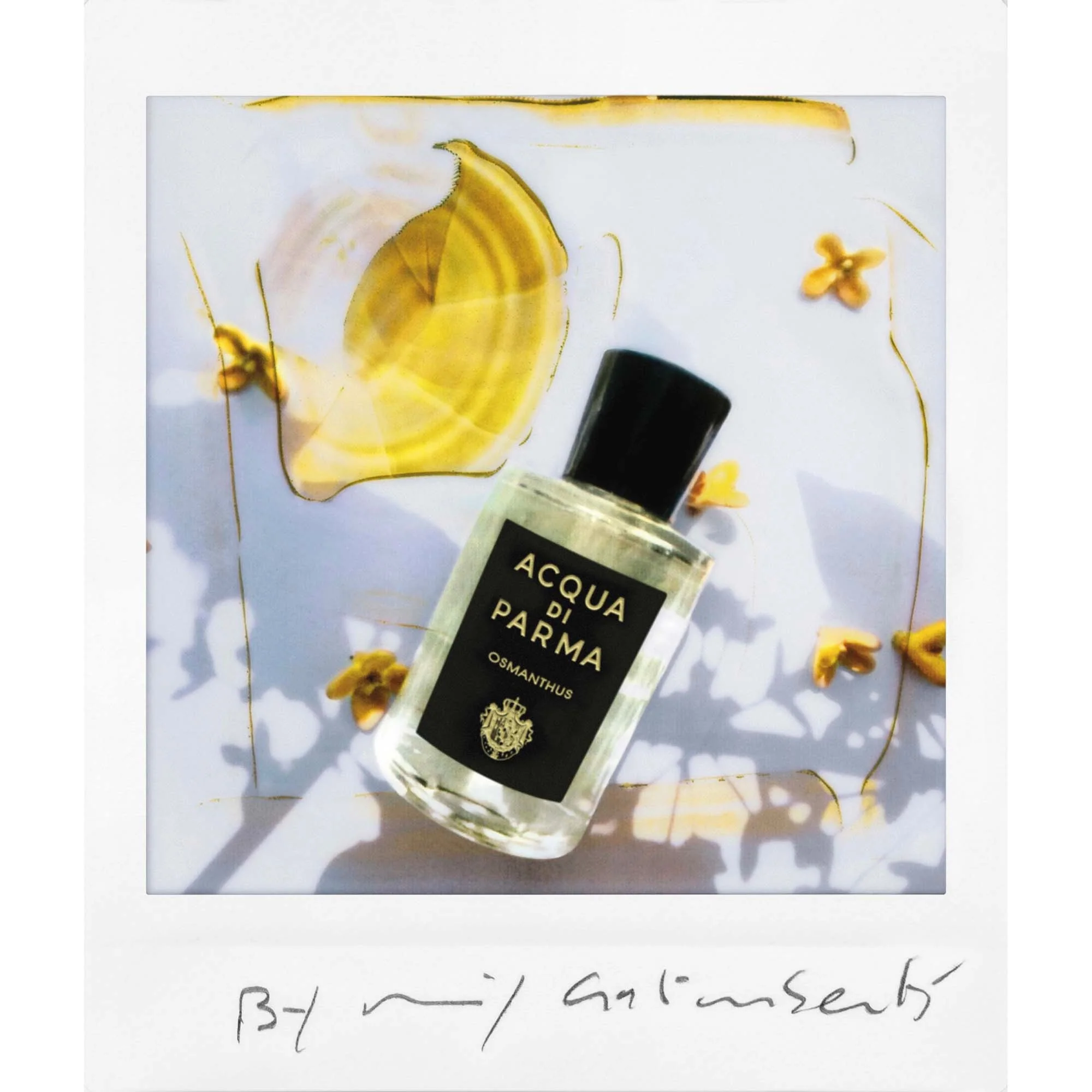 Signatures of the Sun Osmanthus - Eau de Parfum Unisex, Eau de Parfum