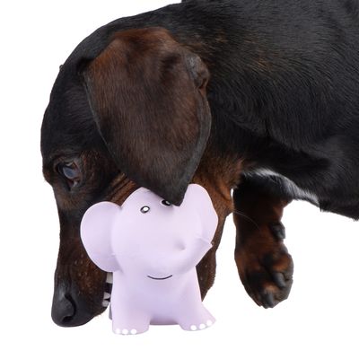Hundespielzeug Latex Elma