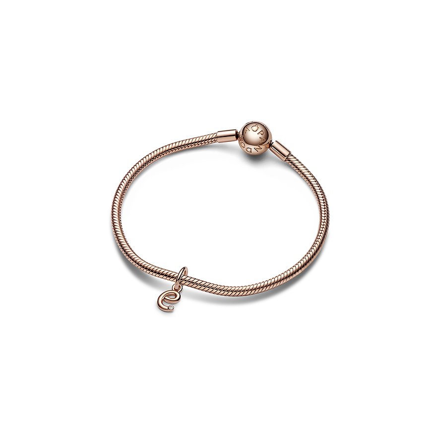 Pandora Charm Moments
