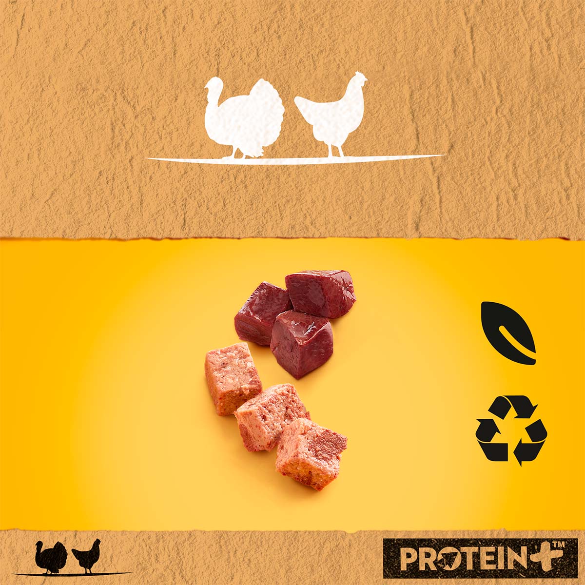 PEDIGREE Protein+ in Pastete Truthahn & Huhn kaufen bei ZooRoyal