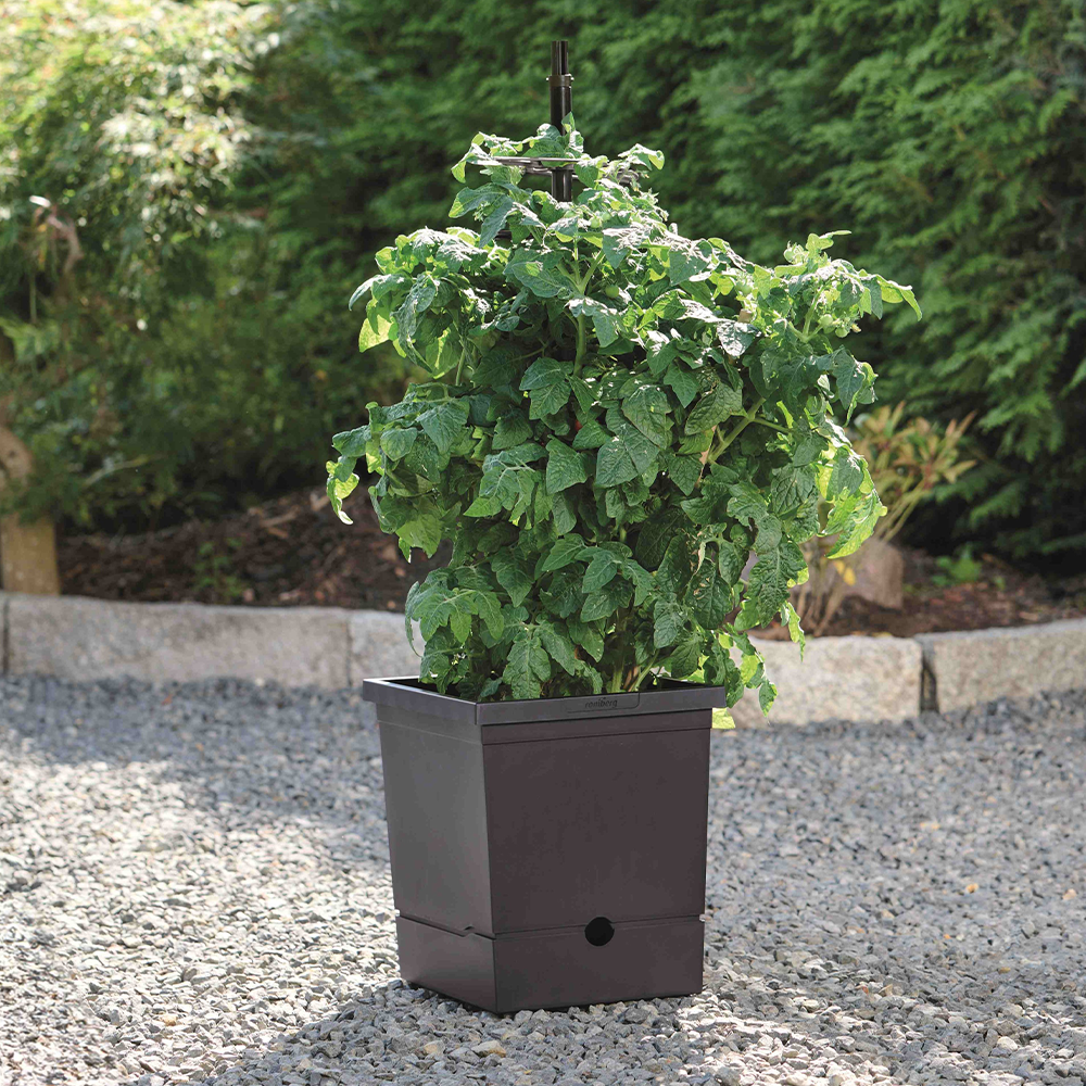 Romberg Powertec Garden Pflanztopf mit Rankhilfe und Wasserspeicher