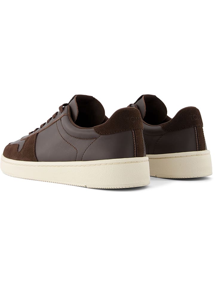 TOMS Sneakers in Braun günstig kaufen