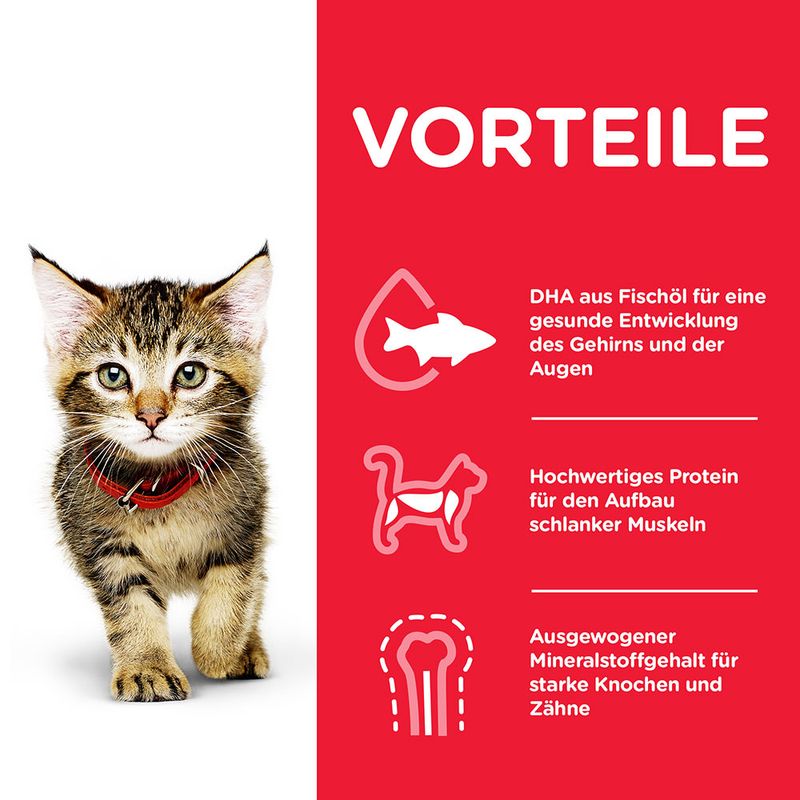 Hill's Science Plan Kitten Huhn zu TOP-Preisen