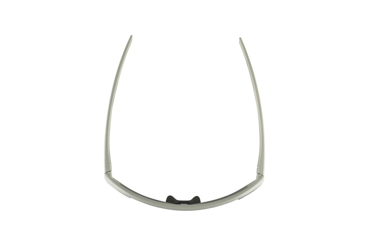 Alpina Bonfire Q-Lite cool-grey matt / silver mirror lens