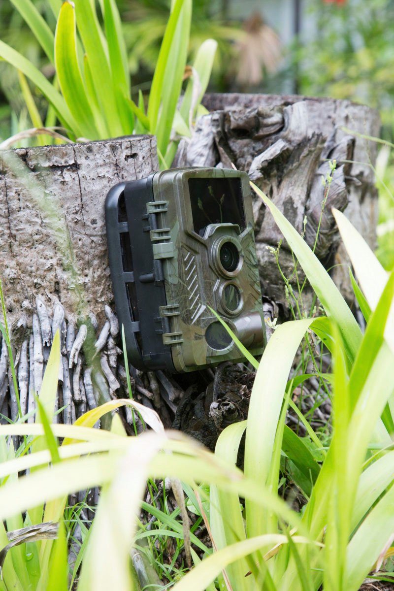 Technaxx Nature Wild Cam TX-69 Überwachungskamera (Außenbereich, Innenbereich, 1-tlg)