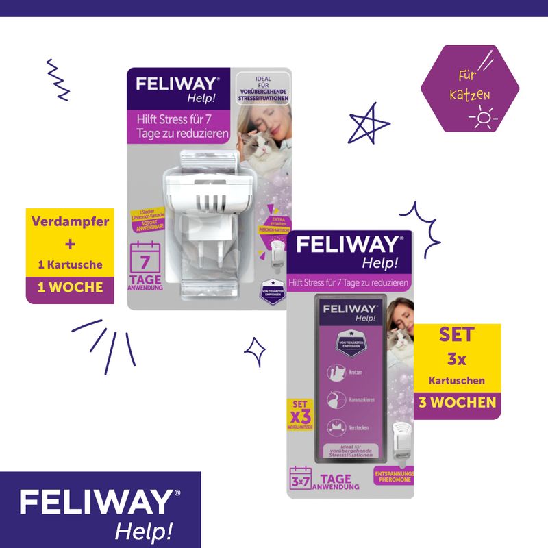 Feliway Help! zu TOP-Preisen