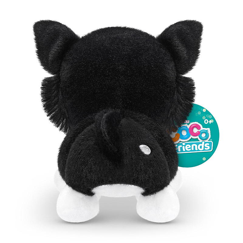 Coco Surprise Coco surprise Coco friends, original S1