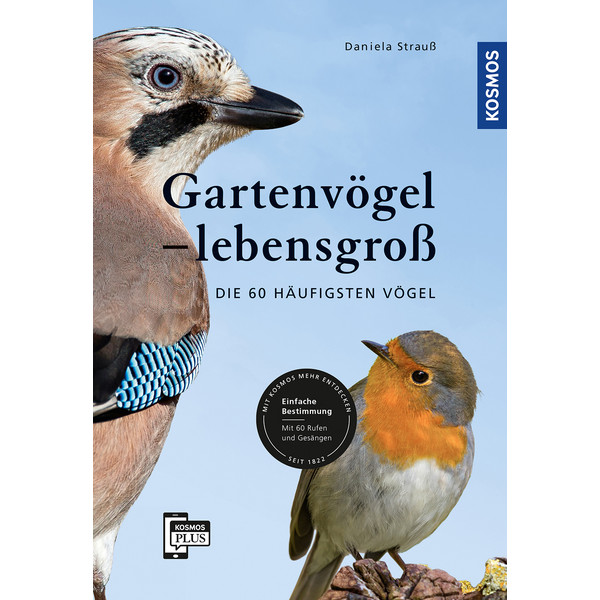 GARTENVÖGEL LEBENSGROß - Ratgeber