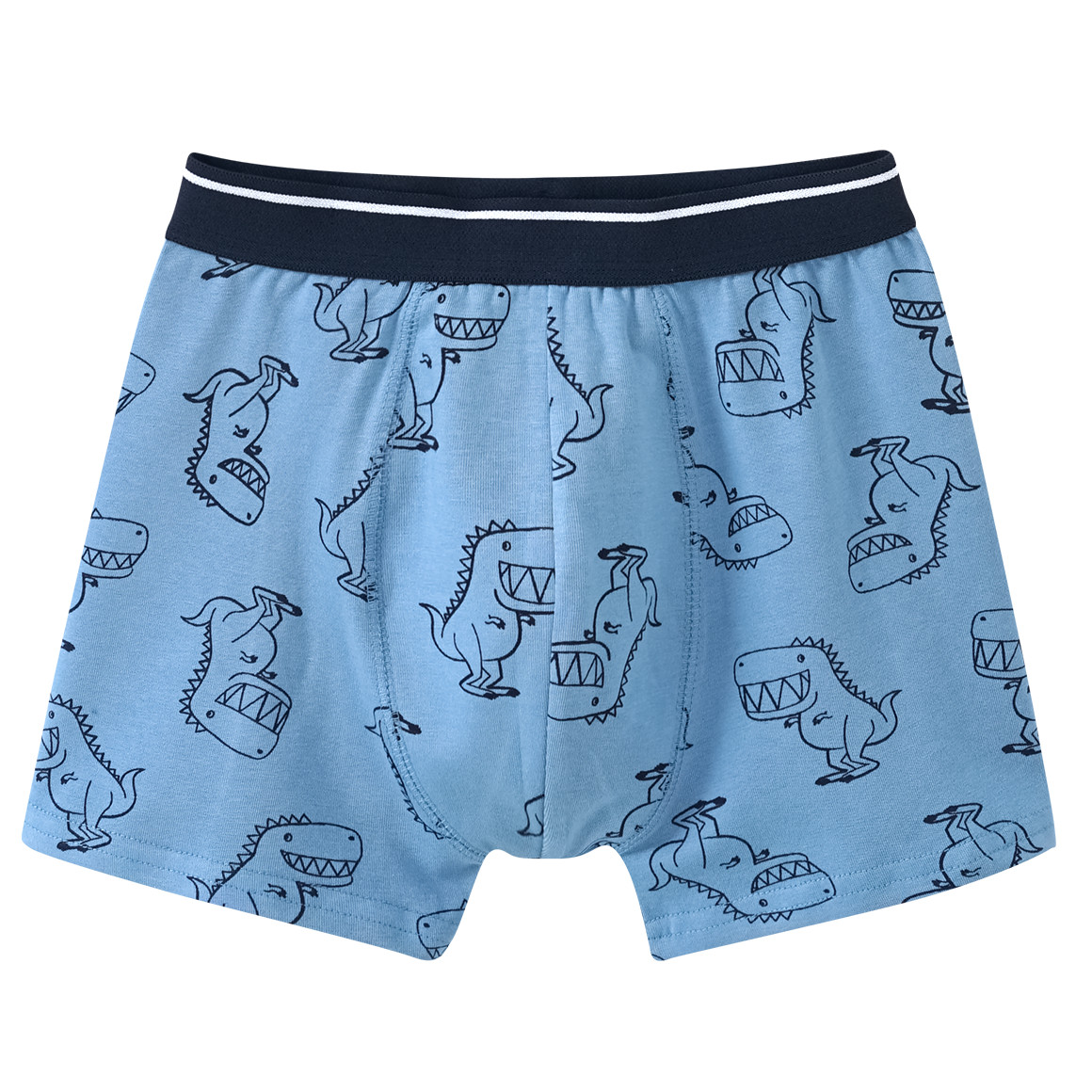 5 Jungen Boxer in verschiedenen Dessins