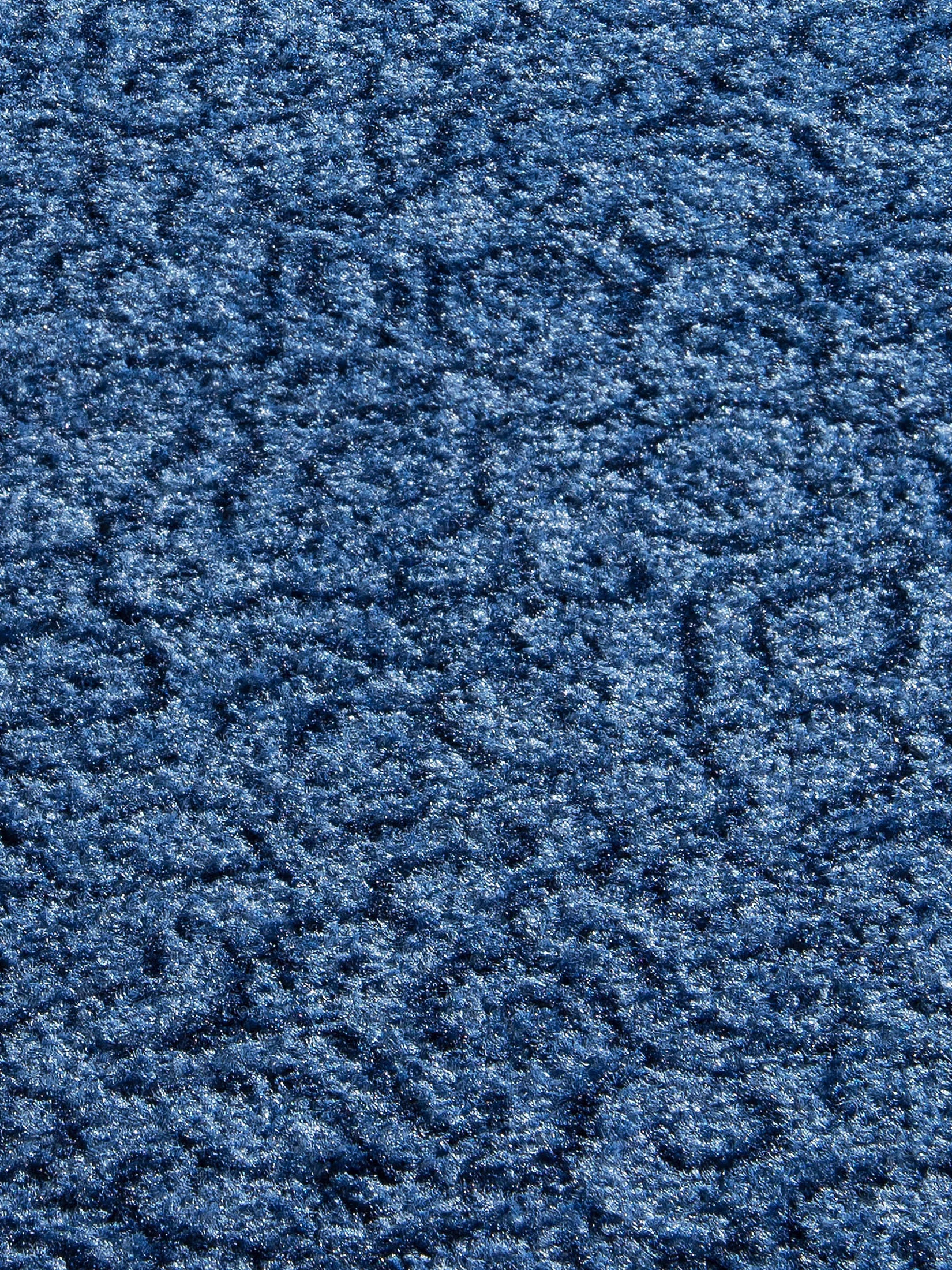 Aktiv Colour Sauberlaufmatte, Blau