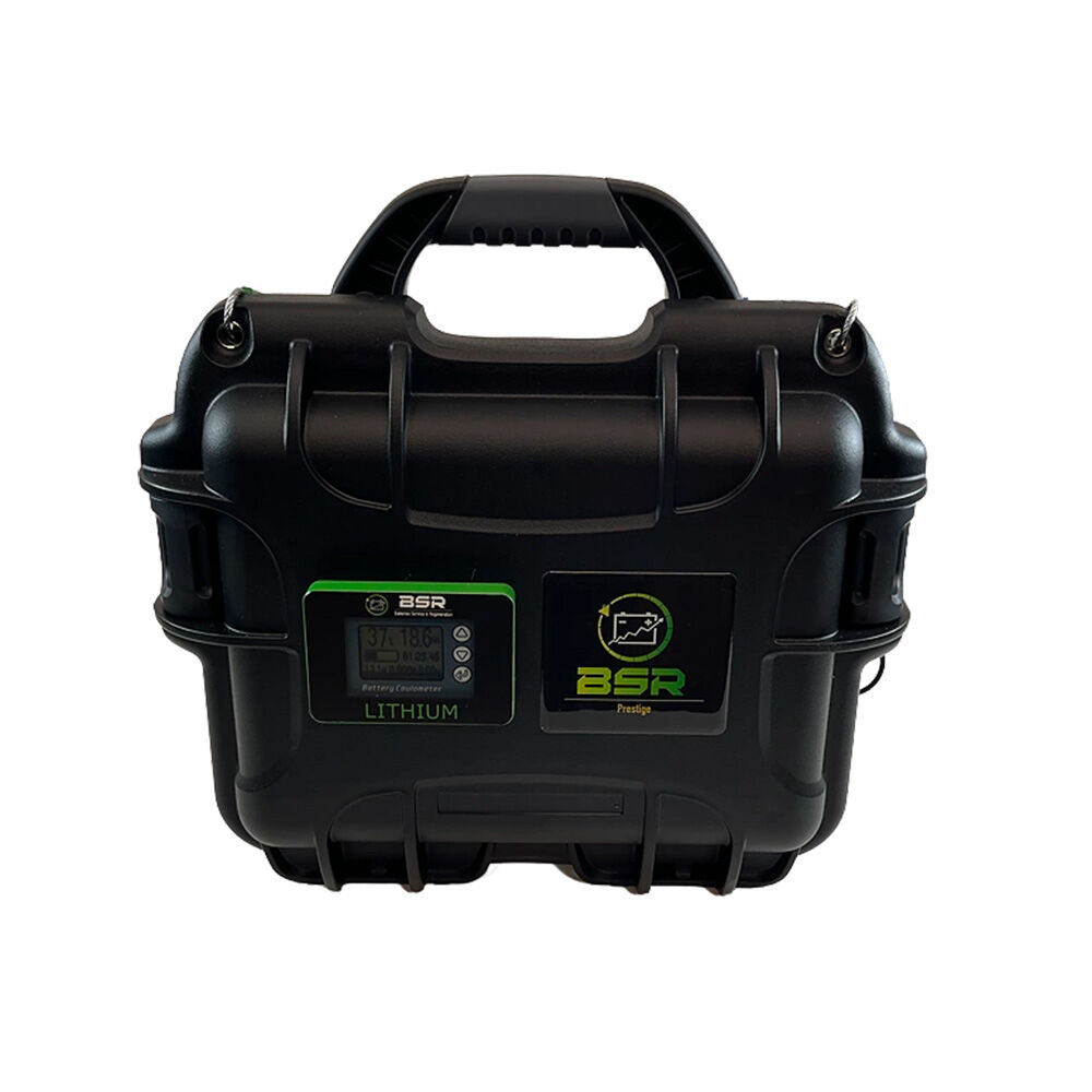 Akumulator litowy BSR Pro Life P04 24 V 100 AH + ładowarka