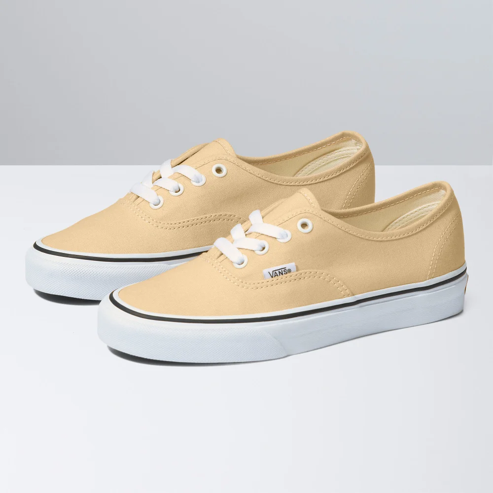 Vans Authentic Theory Color VN0A5KS9BLP / braun