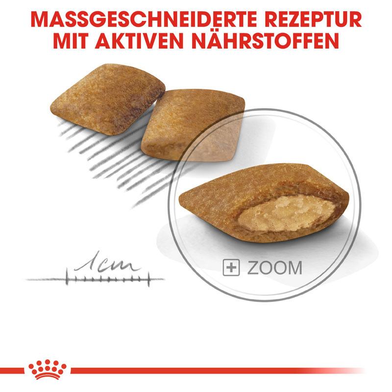 ROYAL CANIN Hundetrockenfutter ROYAL CANIN Exigent Mini 3 kg