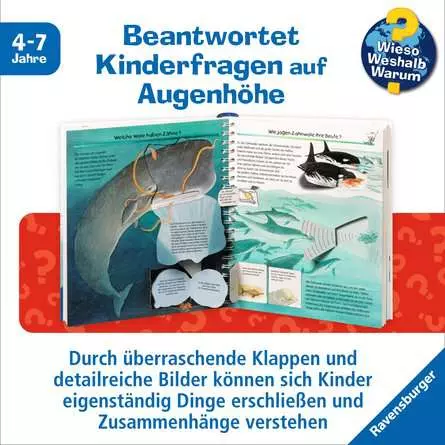 Ravensburger Wieso? Weshalb? Warum? Band 41: Wir entdecken Wale und Delfine