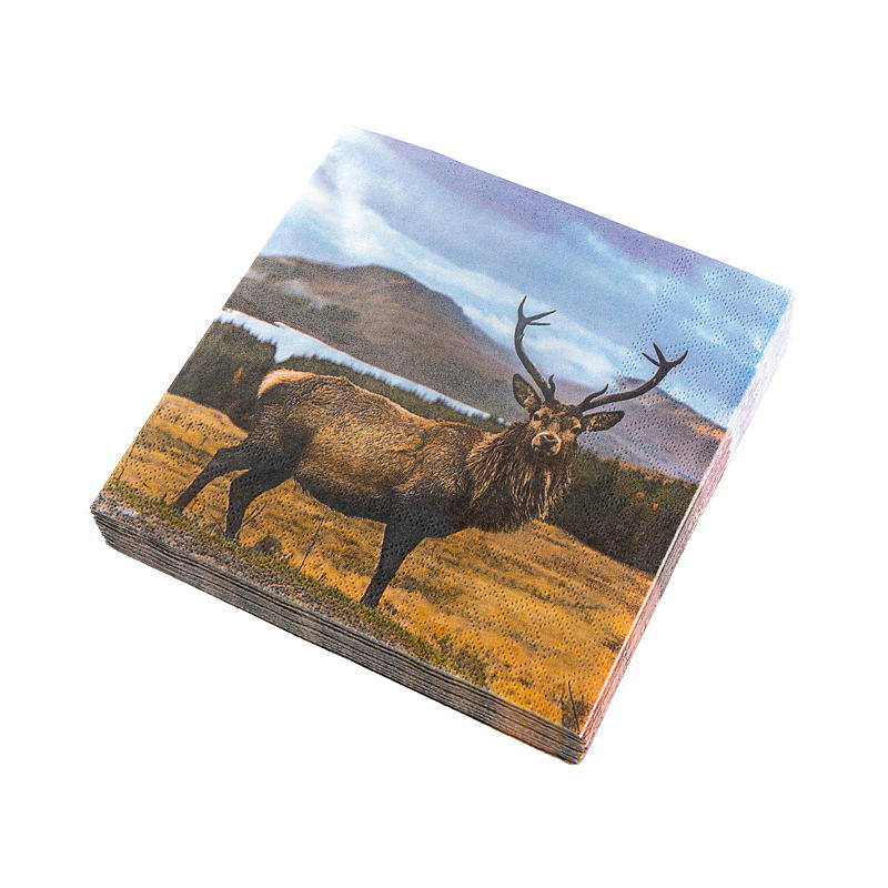Vie Eco Servietter 20-pk 33x33 cm, Høst