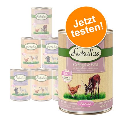 6 x 400 g Lukullus Naturkost Junior Probierpakete