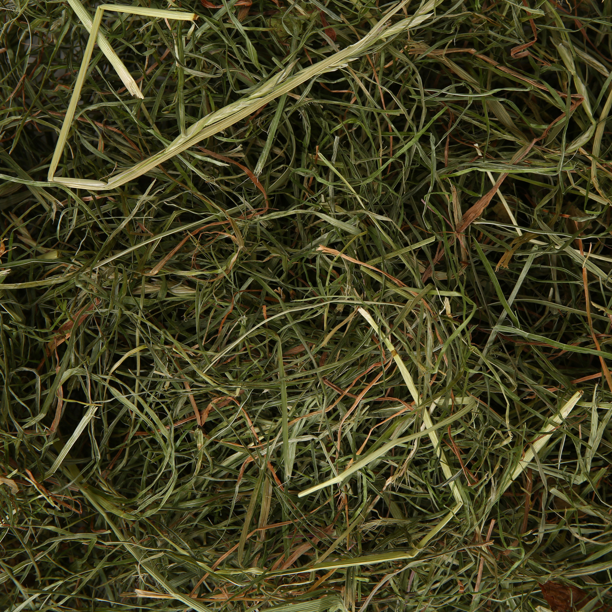 Bunny Allgäuer FrischGras Kleintierheu kaufen