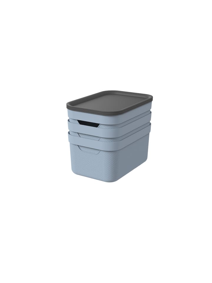 Rotho 3er- Set Aufbewahrungskorb 16l mit Deckel in Blue Fog ged. günstig kaufen onesize