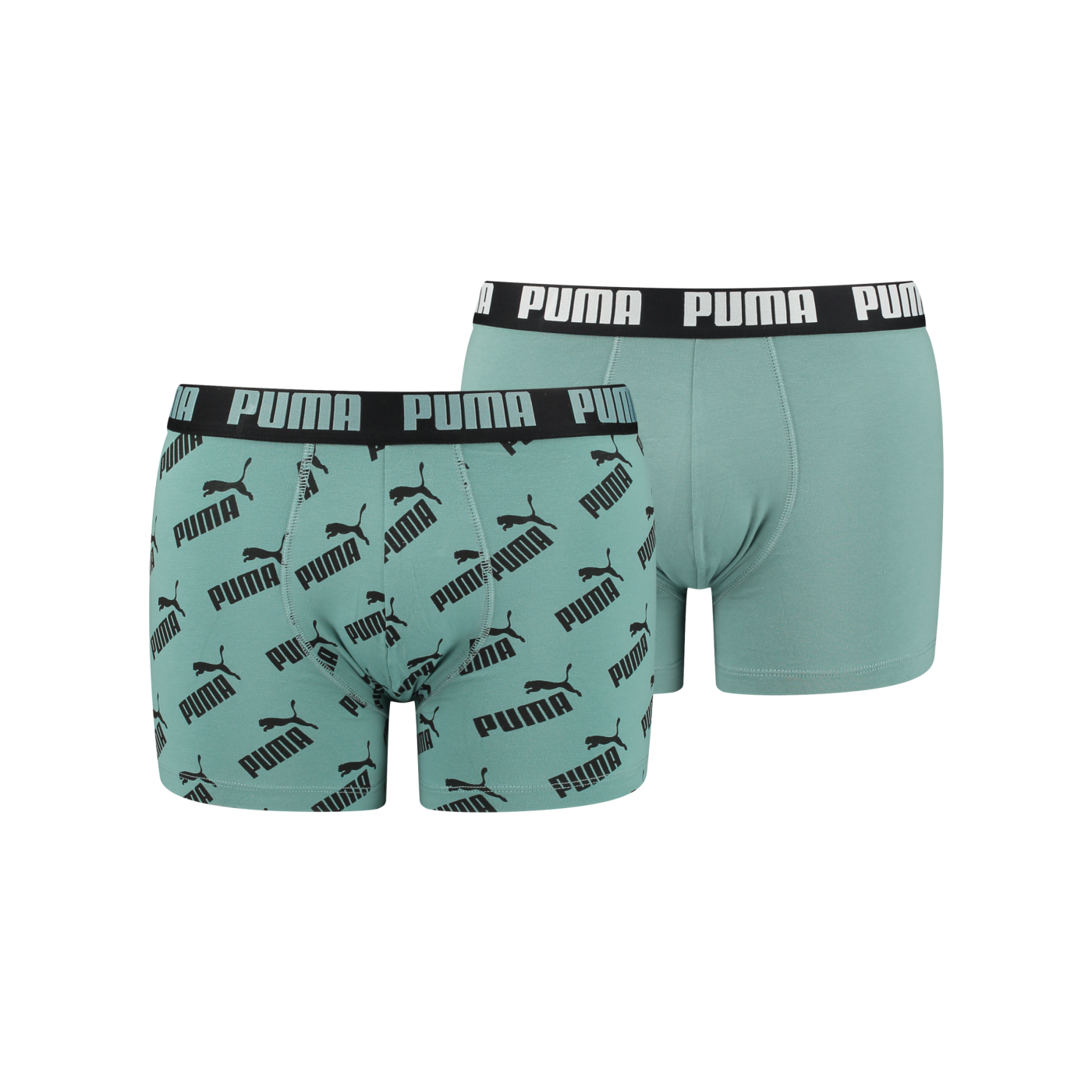 PUMA AOP Boxer 2er Pack Grün F012