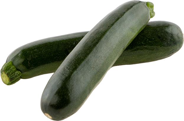 Bio Zucchini