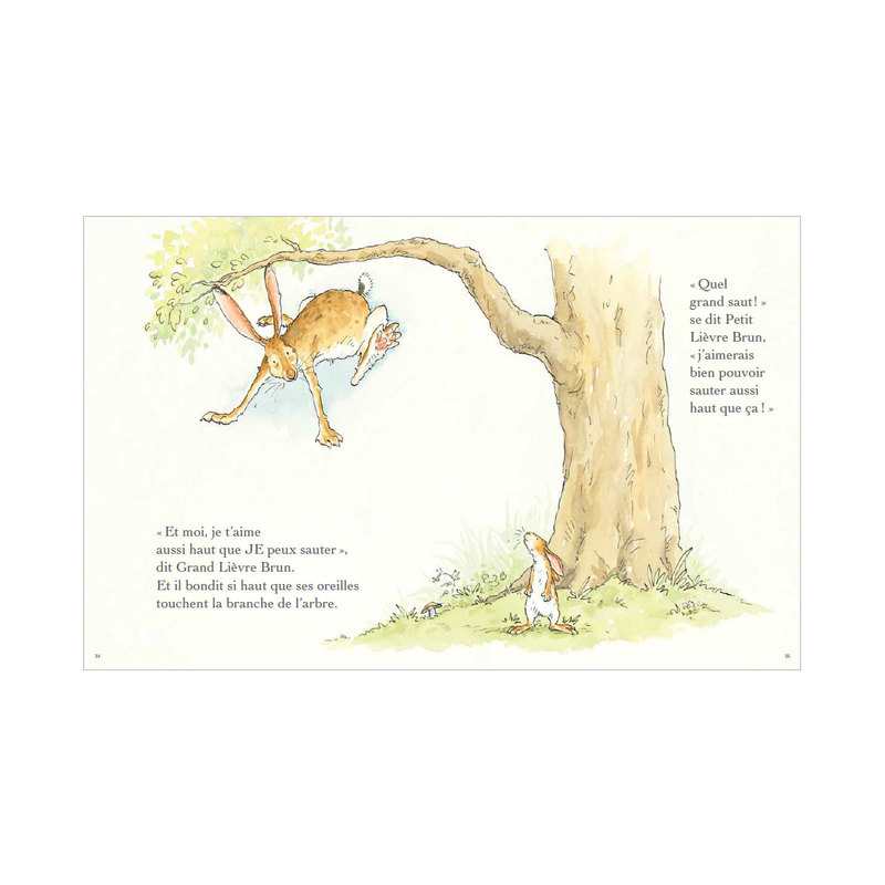 Livre Devine combien je t'aime - L'école des loisirs