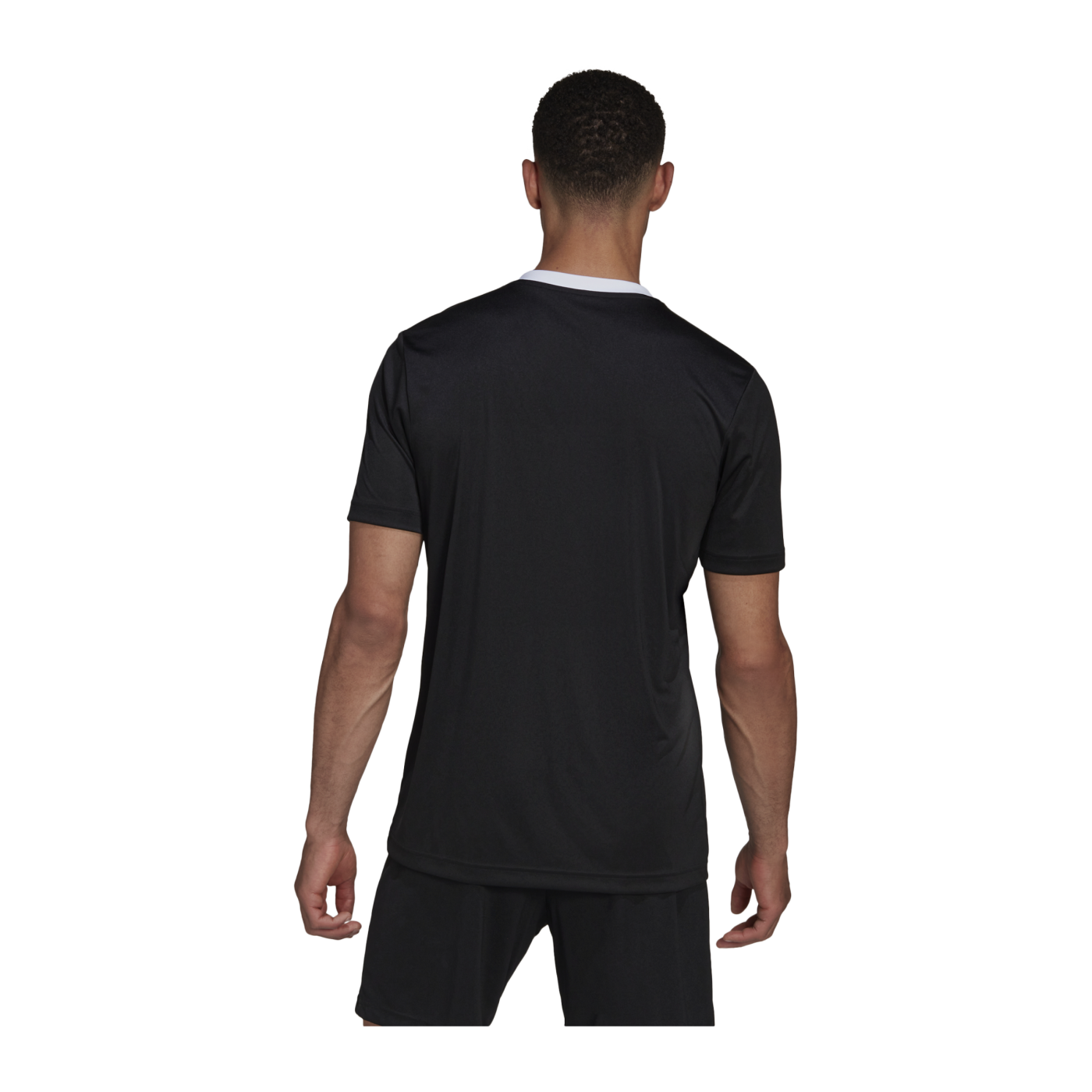 adidas Entrada 22 Trikot Schwarz Weiss