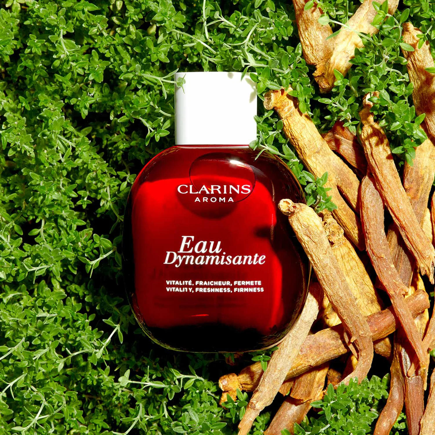 Aroma Eau Dynamisante Vitalité, Fraîcheur, Fermeté – Aromatisches Wasser, Unisex Aromatisches Wasser