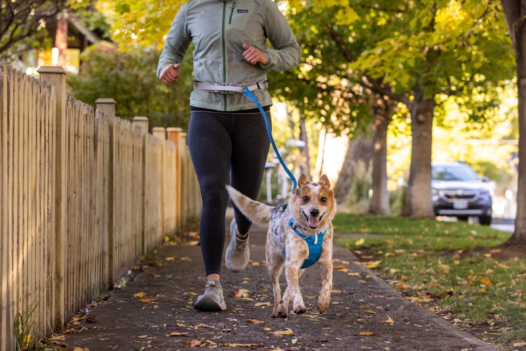 Ruffwear Hundeleinen Ruffwear Trail Runner™ Leine