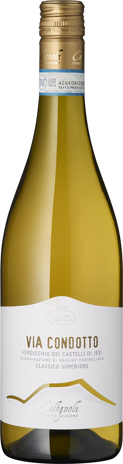 Cológnola - Tenuta Musone 