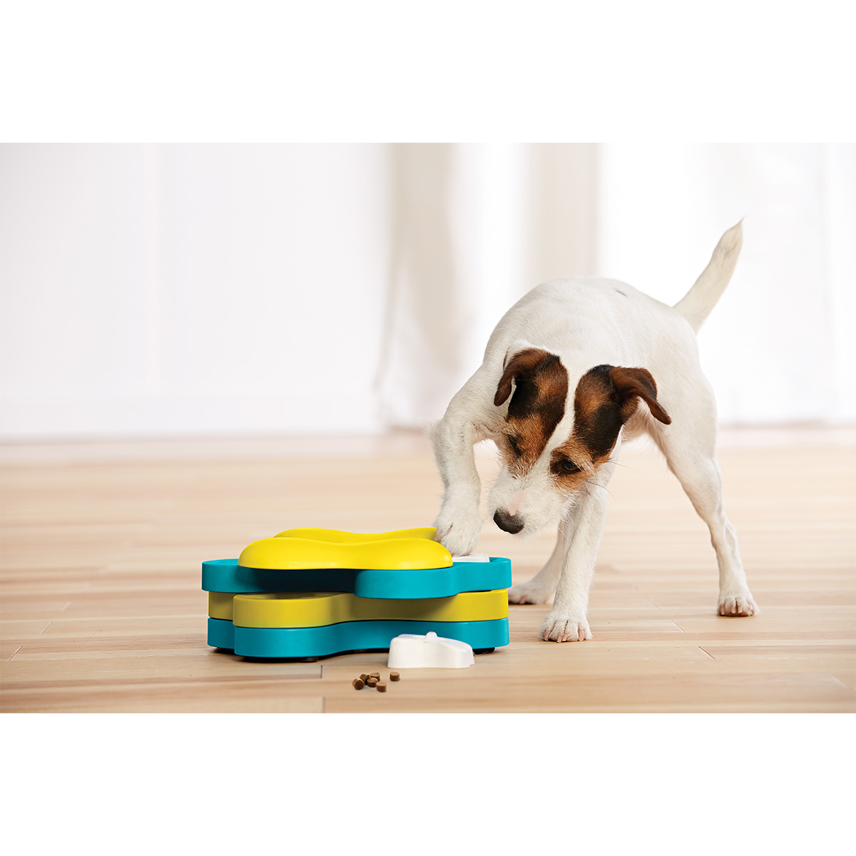 Dog Tornado Intelligenzspielzeug günstig kaufen bei ZooRoyal
