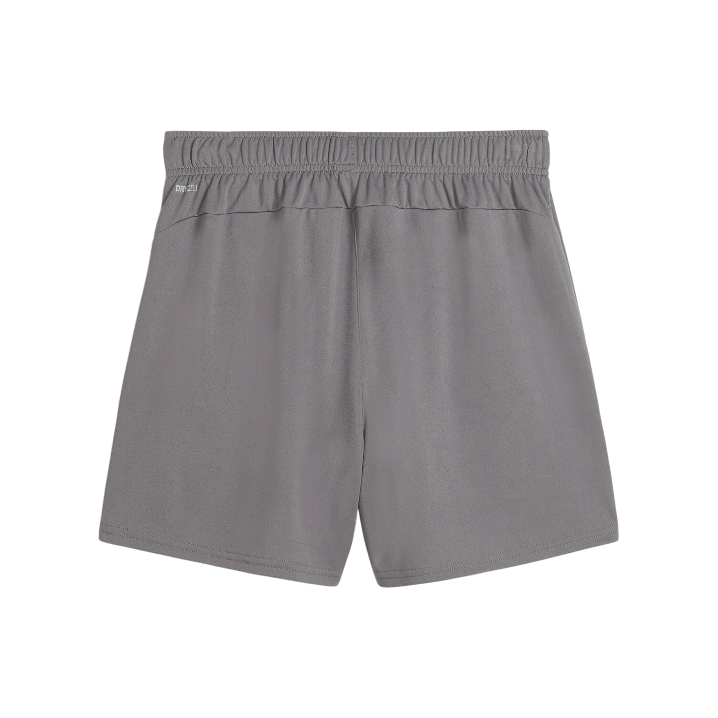 PUMA teamGOAL Short Damen Grau F13