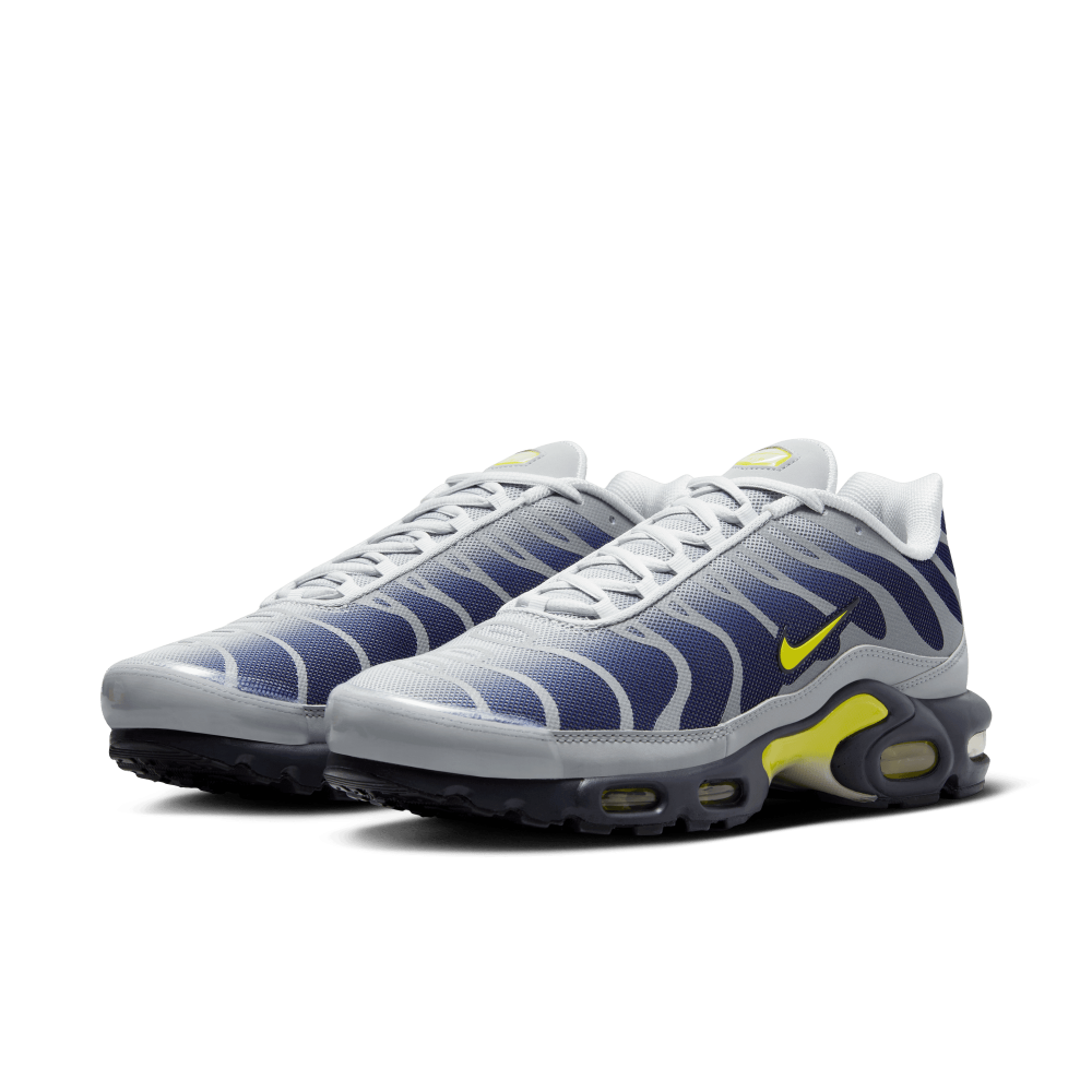 Nike Air Max Plus FZ4622-001 / grau