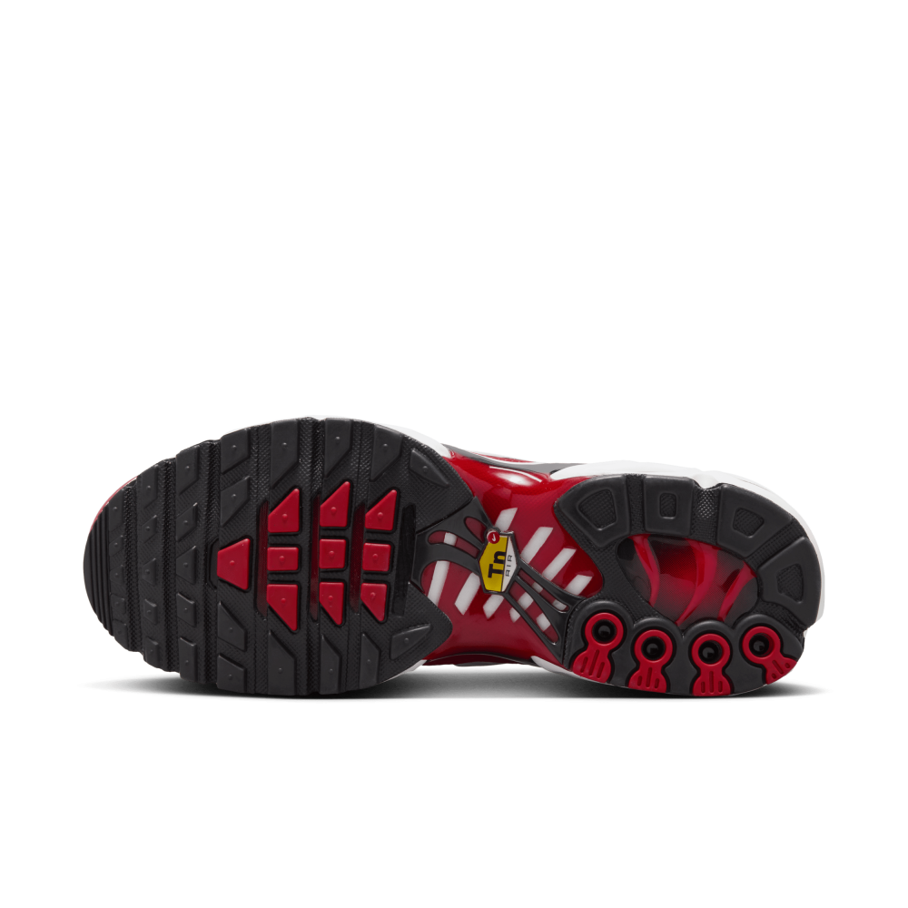 Nike Air Max Plus FV0950-600 / rot