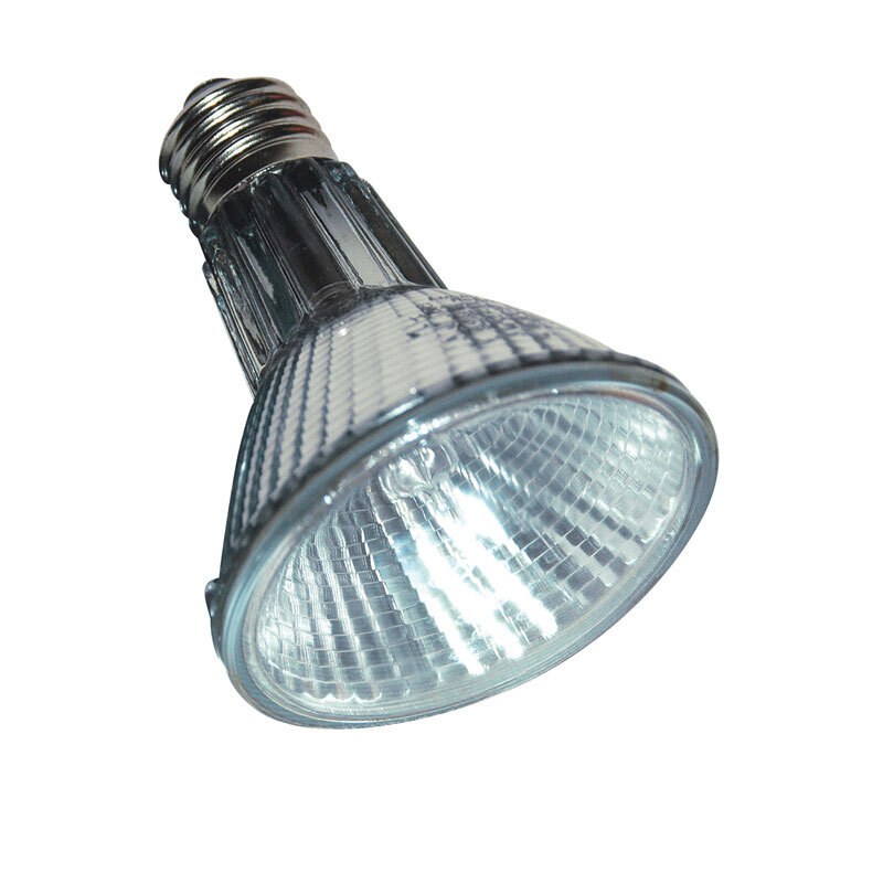 Lucky Reptile Beleuchtung Lucky Reptile Halogen Sun 50 W