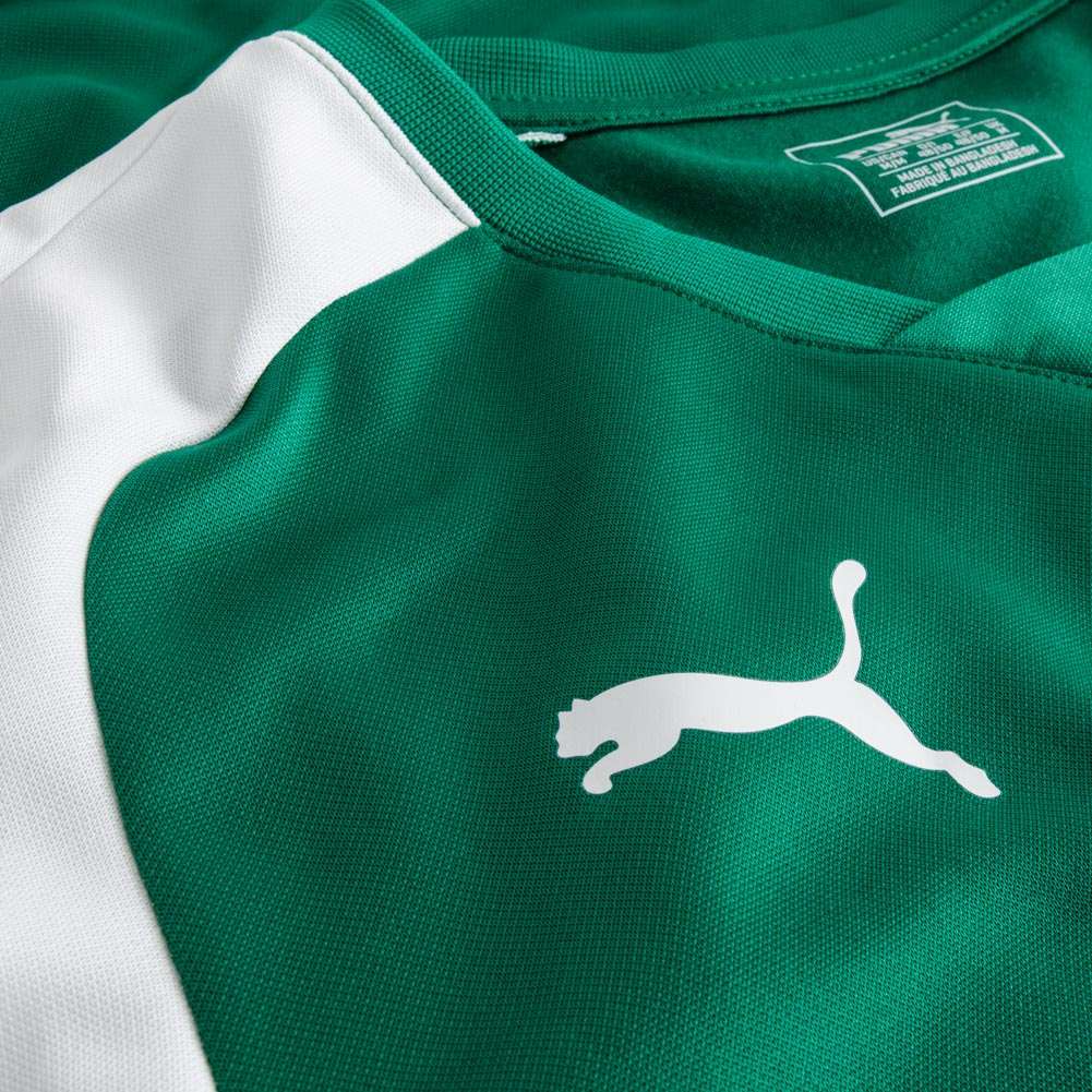 PUMA Esito 4 Kinder Training Sweatshirt 655222-05Y