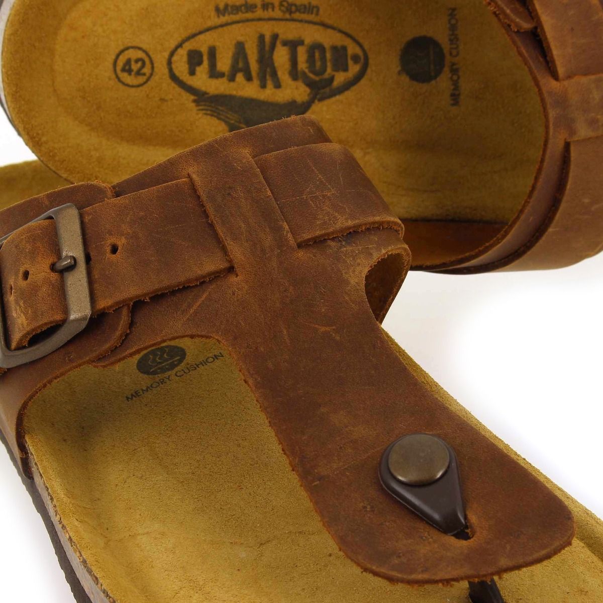 Plakton   BERDIE - Camel