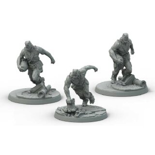 Fallout: Wasteland Warfare - Super Mutants Suiciders (EN)