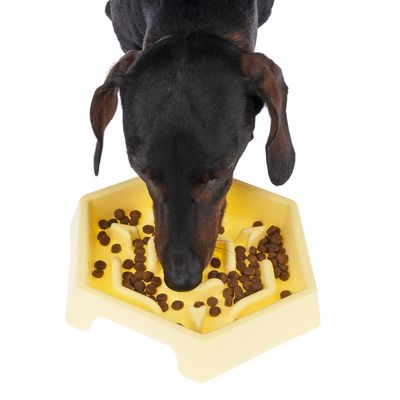 TIAKI Slow Feeder Yellow Hexagon